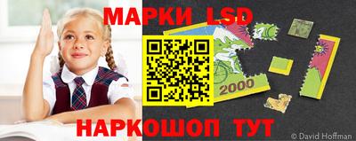 шишки Брянск
