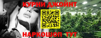 шишки Брянск