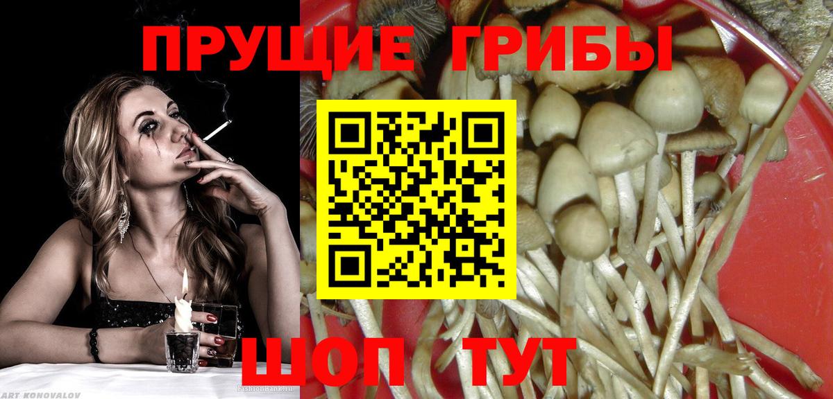 Псилоцибиновые грибы мухоморы  наркотики  Канаш  Вход с VPN 